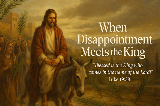 When Disappointment Meets the King – Palm Sunday Reflection