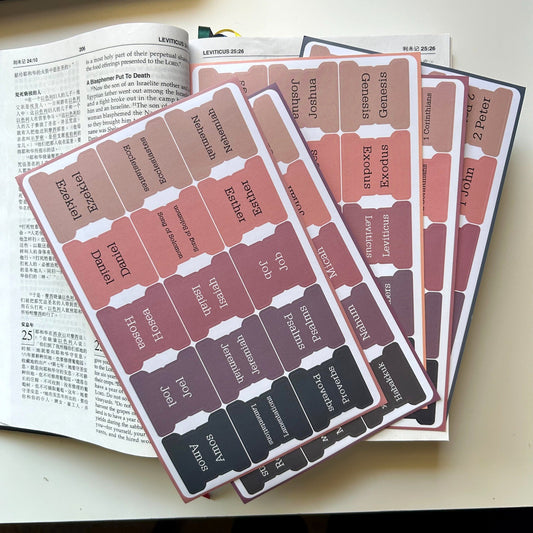 Elegant Bible Index Tabs – Rose Tone | Easy-to-Apply Bible Book Stickers with Positioning Guide